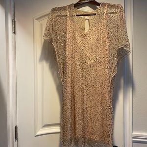 Stunning Spring Sequence Dress